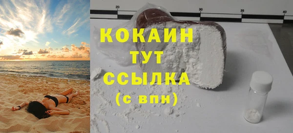 мдпв Вяземский