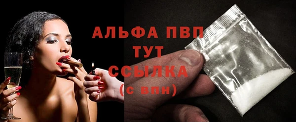 мдпв Вяземский