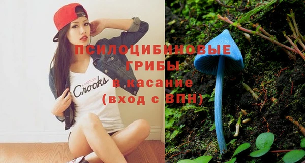 мдпв Вяземский
