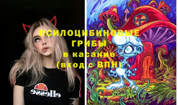 мдпв Вяземский
