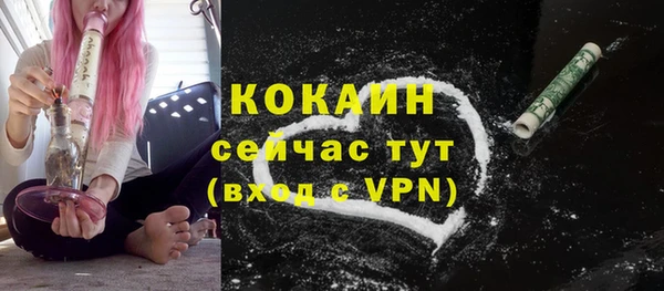 мдпв Вяземский
