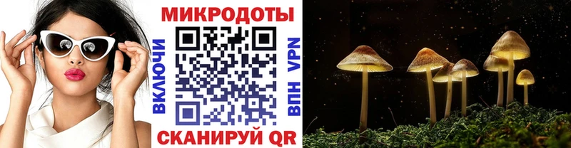 Купить  Нефтекумск  Псилоцибиновые грибы ЛСД 